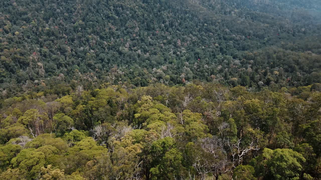 Drone aerial with a slow pan down over Australian native bush lands mountain
