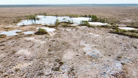 rising aerial drone view of a group of frozen bog lakes in the middle of a barren landscape