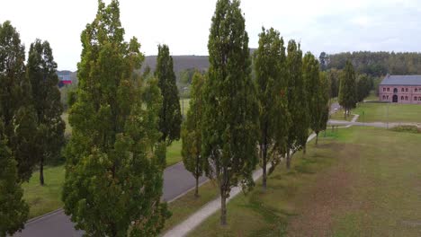 hermosos árboles en la ciudad minera genk bélgica