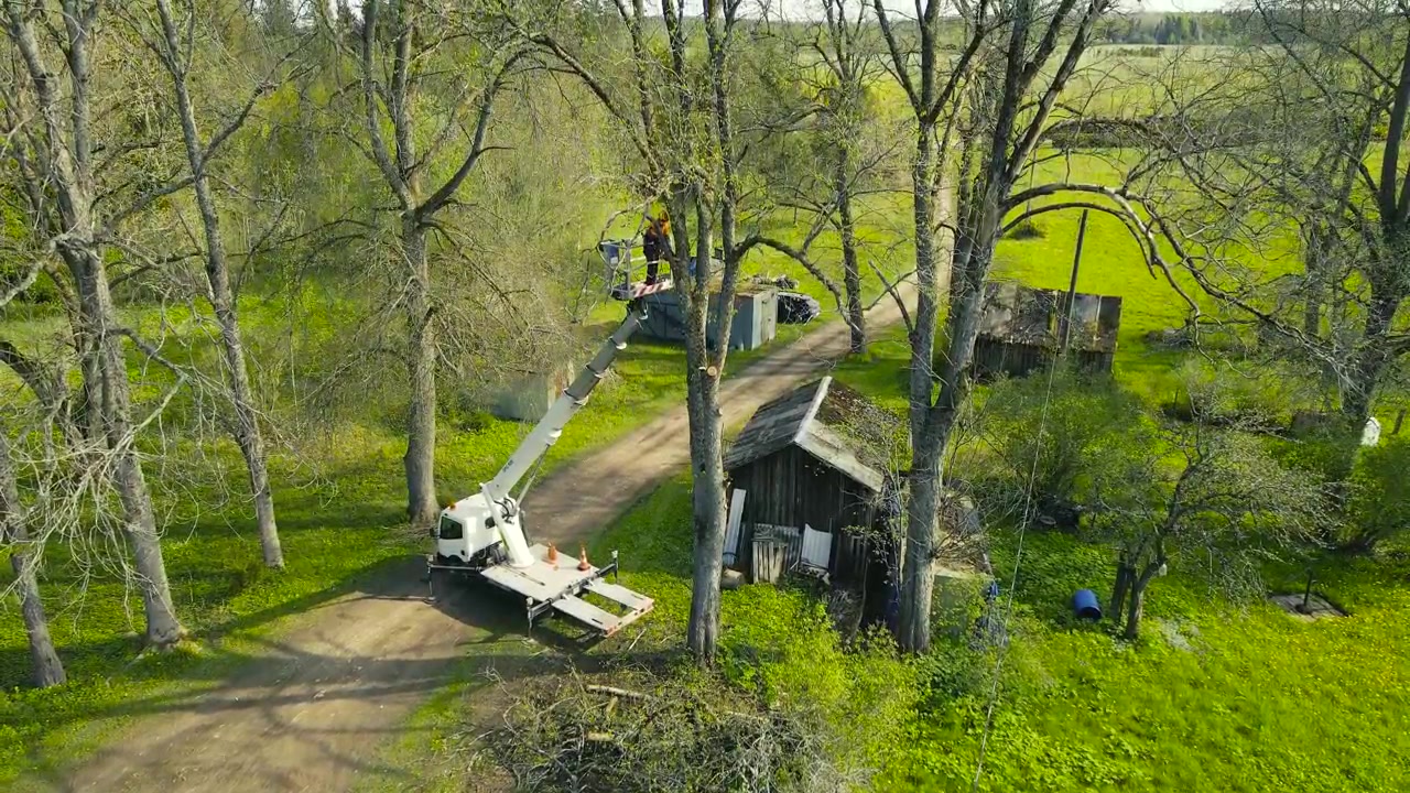 Arboricoltore in un cestello di una gru che taglia rami d'albero con una motosega per la manutenzione stagionale, visto da una prospettiva aerea in un lussureggiante e verde paesaggio rurale durante una soleggiata giornata primaverile.