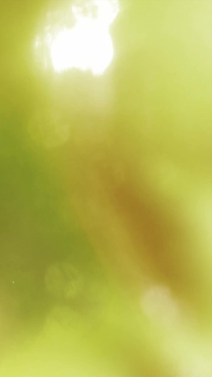 Abstract Light Leaks and Lens Flares Overlay