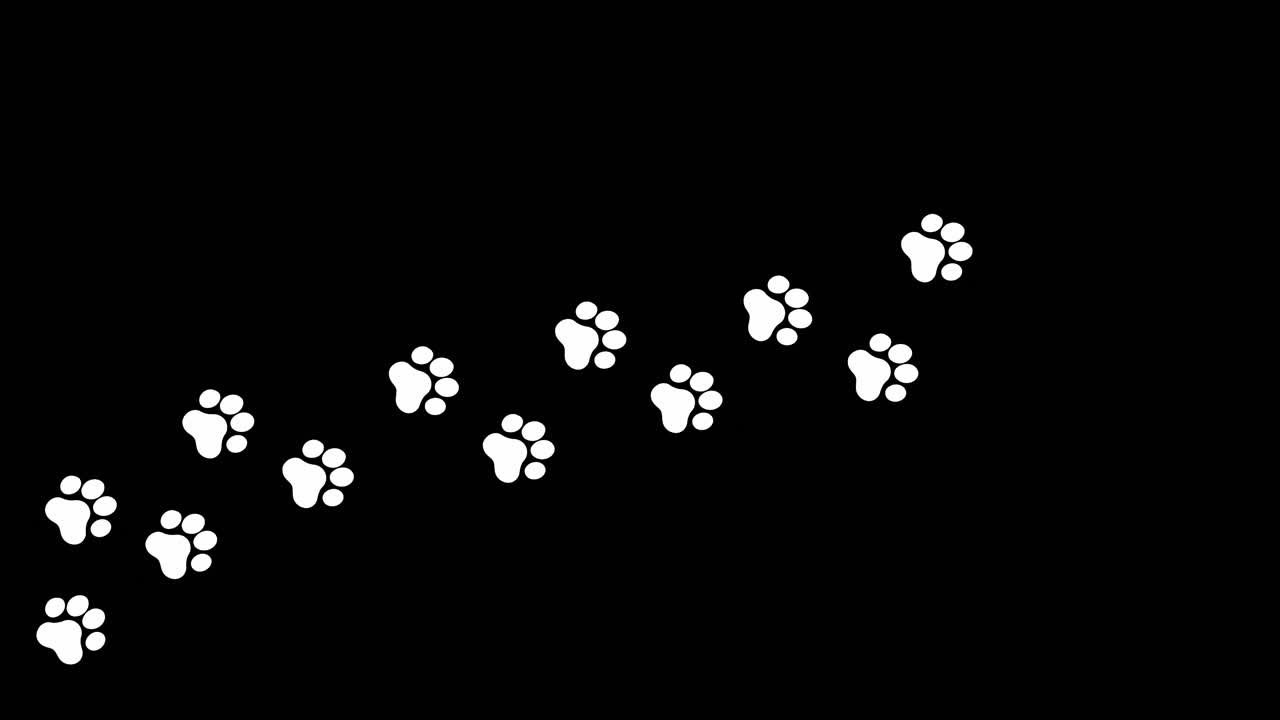 Animation : une traînée d'empreintes de pas blanches sur un fond noir, un chat marchant sur un chemin, allant de gauche à droite.