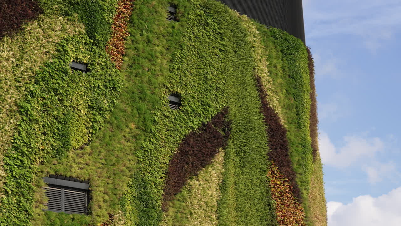 Vibrant green moss covering an old stone wall surface