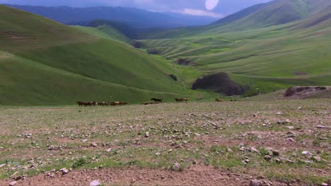 sendero a la montaña