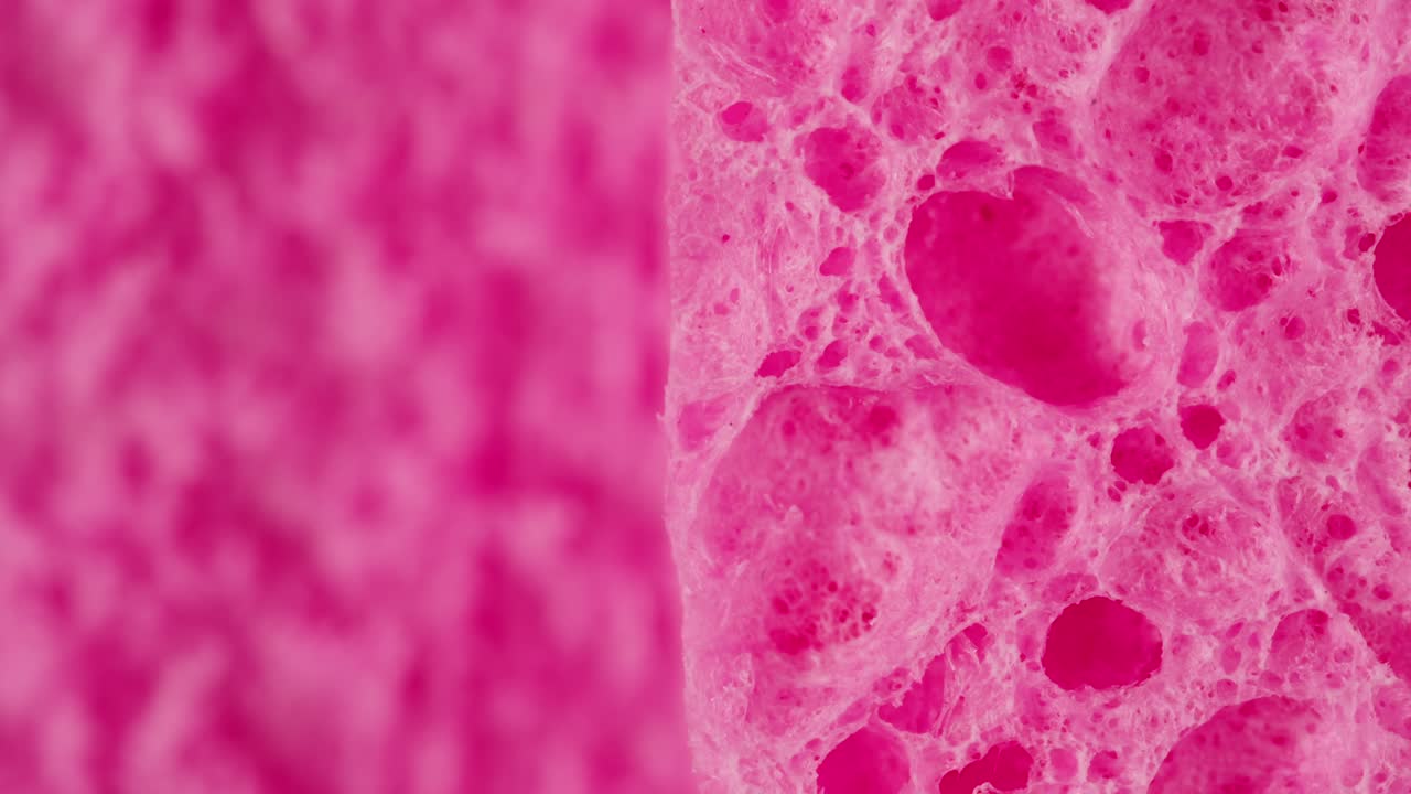 Close-up of a pink sponge