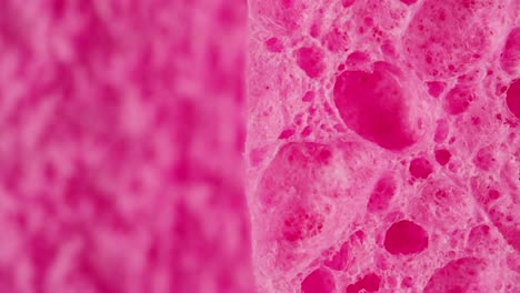 close-up of a pink sponge