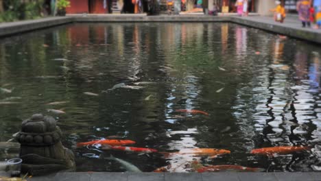 pez dorado en el templo del agua bendita tirta empul