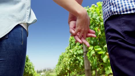 Mid-section-of-couple-standing-with-hand-in-hand-in-vineyard