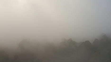 aerial perspective of drone rolling in over dense forest below