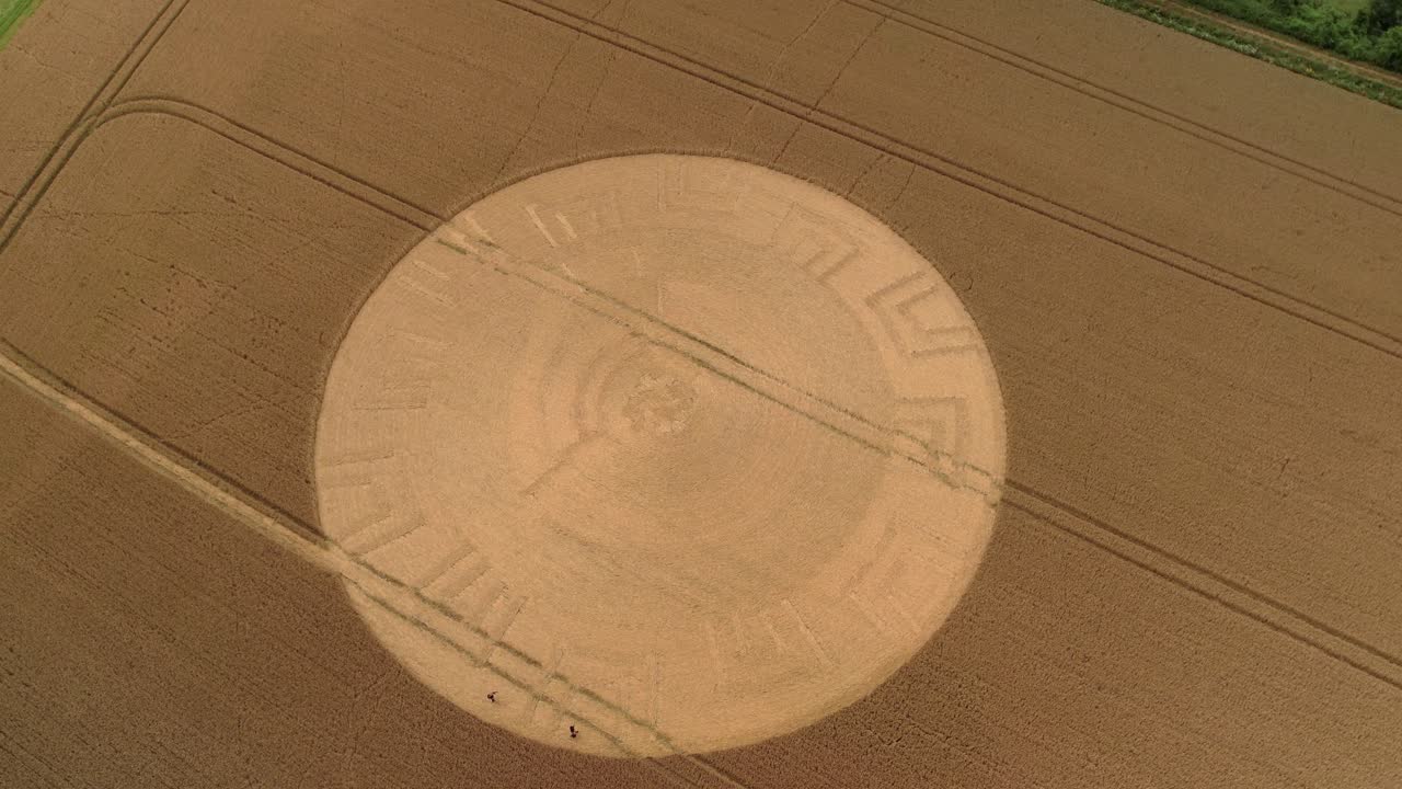 Aerial view circling cultivated rural farmland with damaged remains of crop circle pattern, Devizes