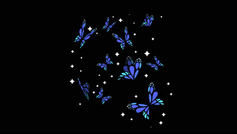 blue butterflies and stars