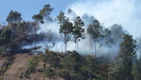 un incendio forestal en la cima de una montaña que quema la maleza en nepal