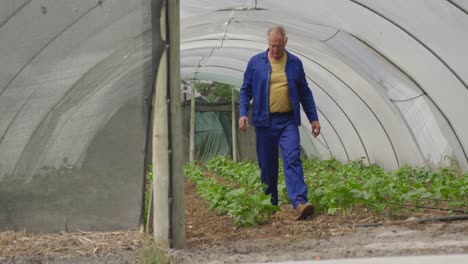 Mature-man-working-on-farm