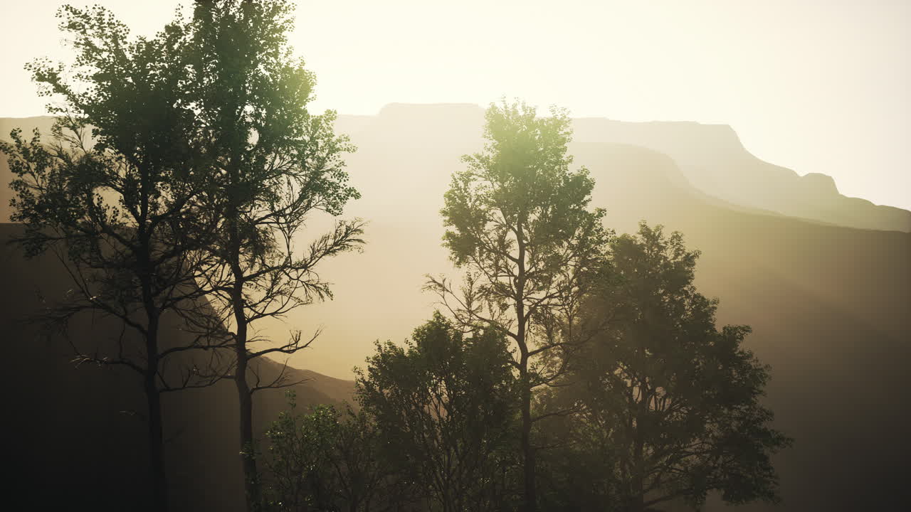 큰 소나무 들 이 산 에 있는 바위 가  ⁇ 어 있는 곳 에서 자라고 있다