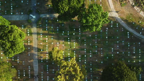 Top-down-drone-shot-over-graves-at-the-Manila-memorial-park,-sunny-Philippines