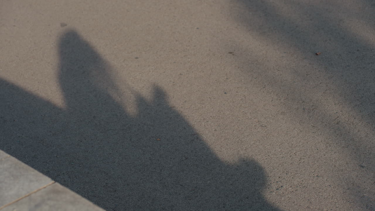 Elongated silhouettes walking along textured asphalt, two anonymous figures casting long shadows across sunlit road, subtle tree branch patterns, dusk atmosphere, cinematic urban commute mood