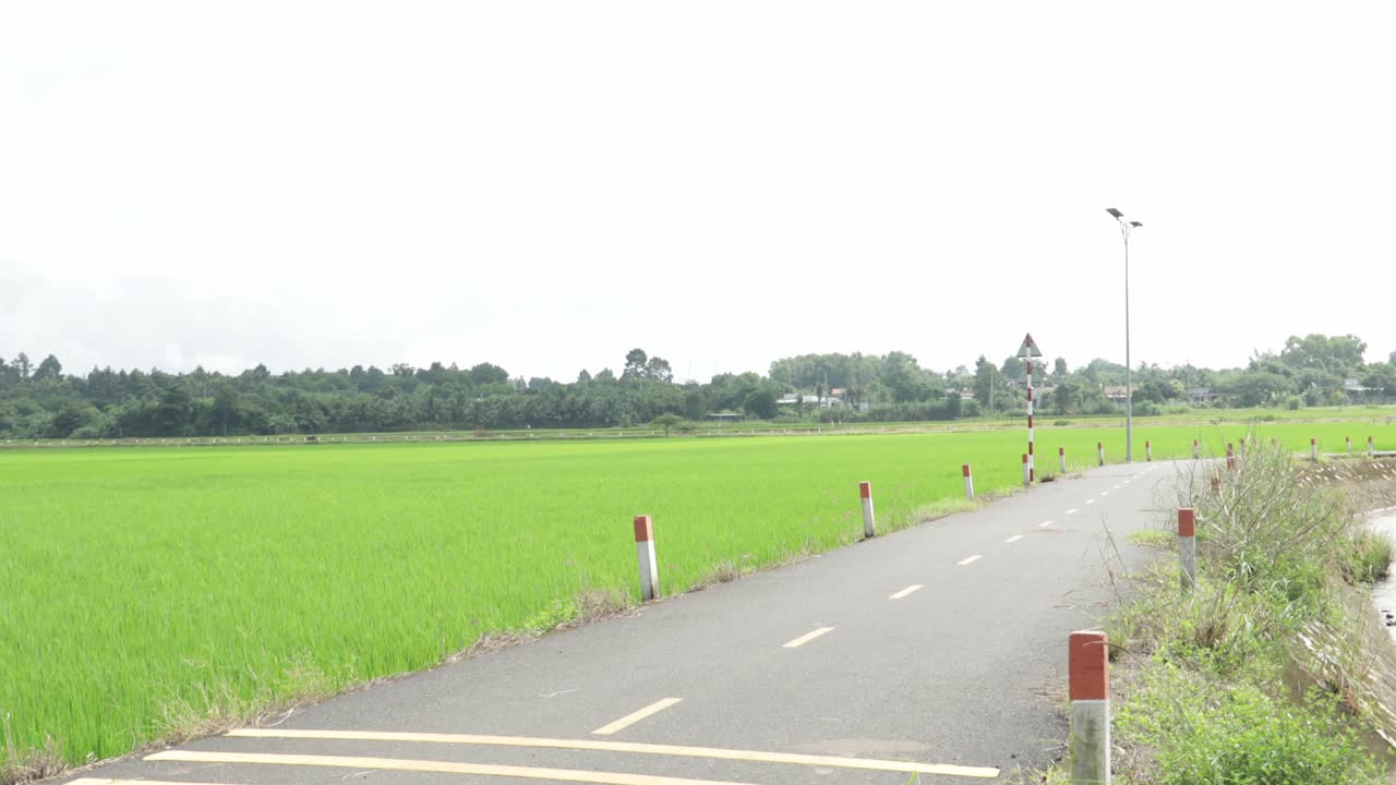 View of the Road and a Big Rice Field in the Afternoon