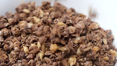 close-up of chocolate granola