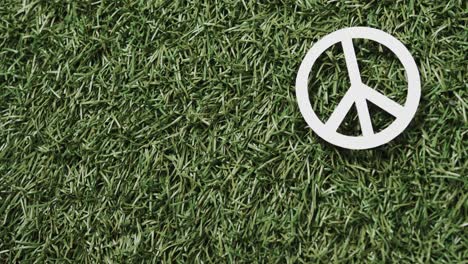 Close-up-of-white-peace-sign-with-copy-space-on-grass-background