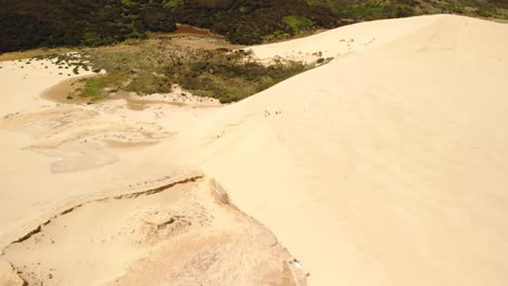 people sliding down sand dune on bodyboard, look down aerial, te paki, new zealand