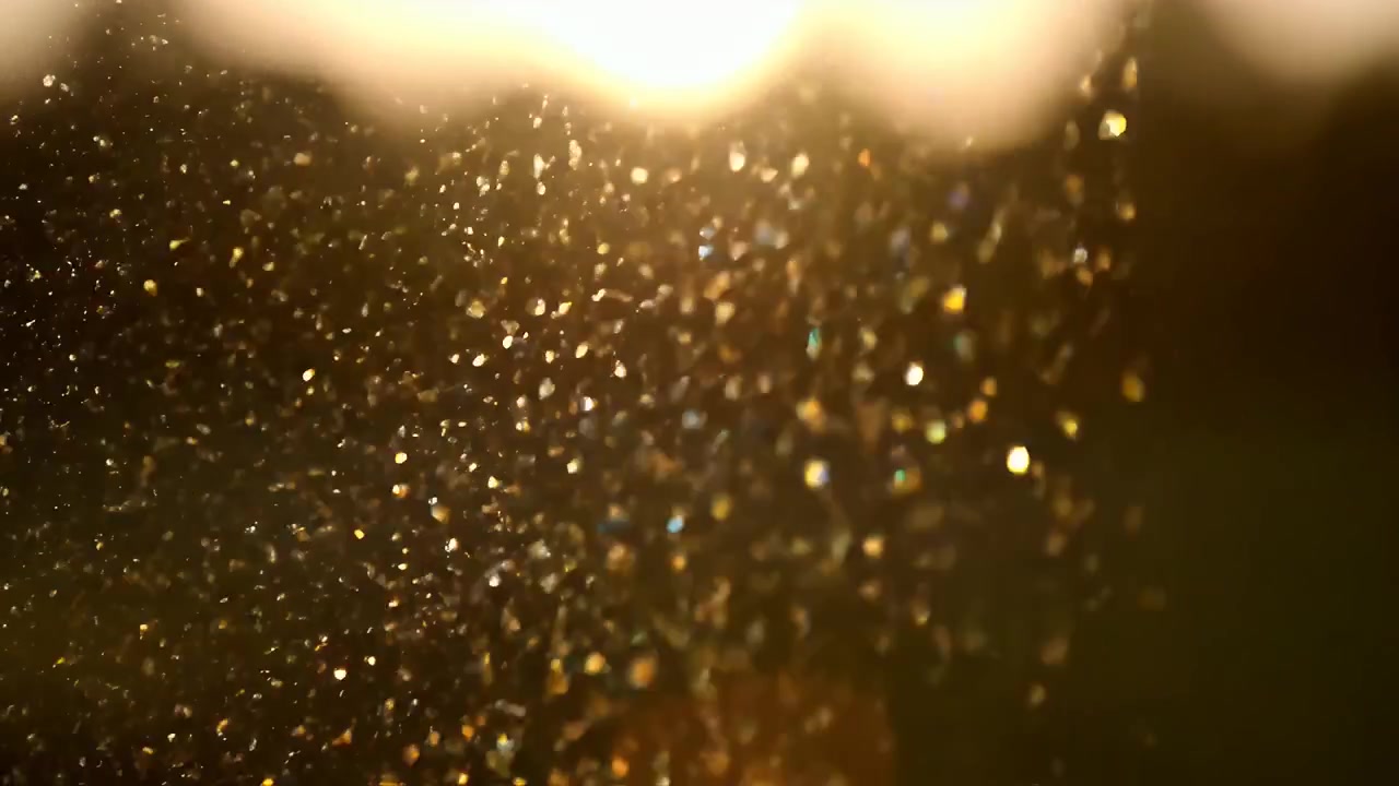 Particelle di Polvere Dorate che Fluttuano nella Calda Luce del Sole