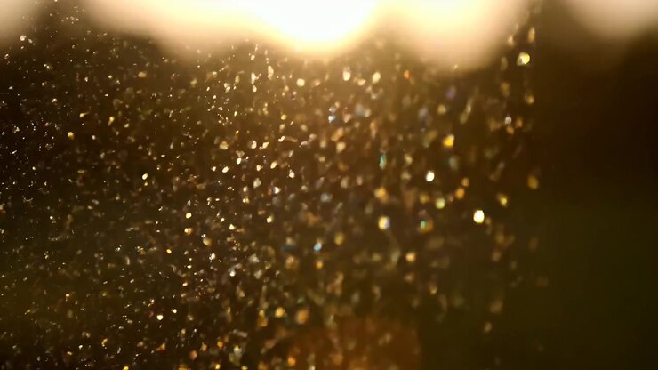 Particelle di Polvere Dorate che Fluttuano nella Calda Luce del Sole
