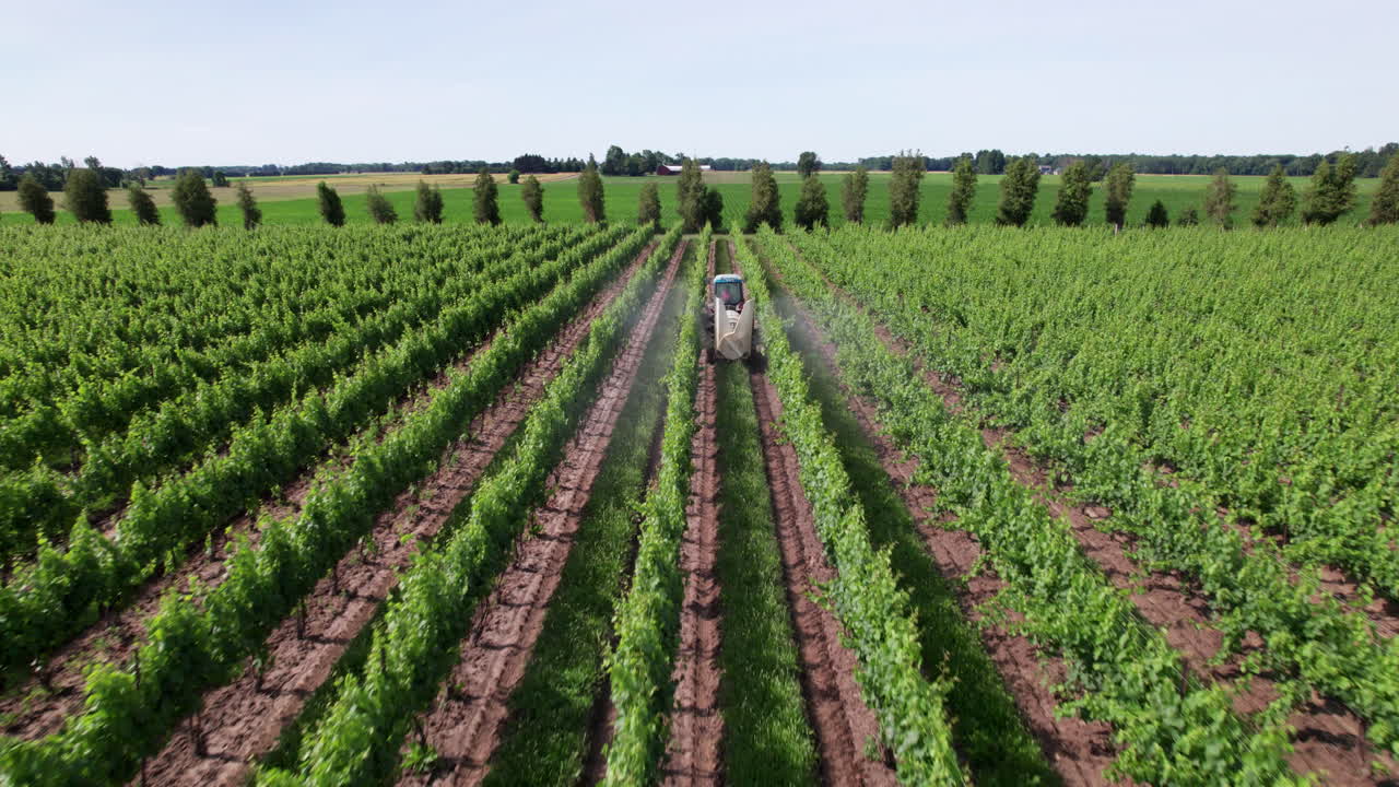 fumigación de pesticidas en viña con tractor fumigador de viticultura