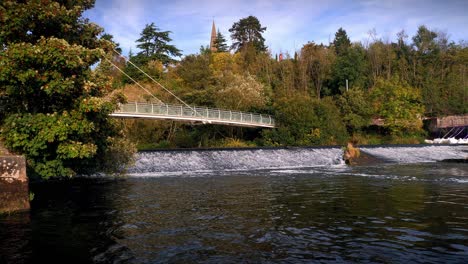 a lovely autumn view of miller's bridge and the spire of st michael and all angel's church near exeter university with the weir on the river exe in the foreground