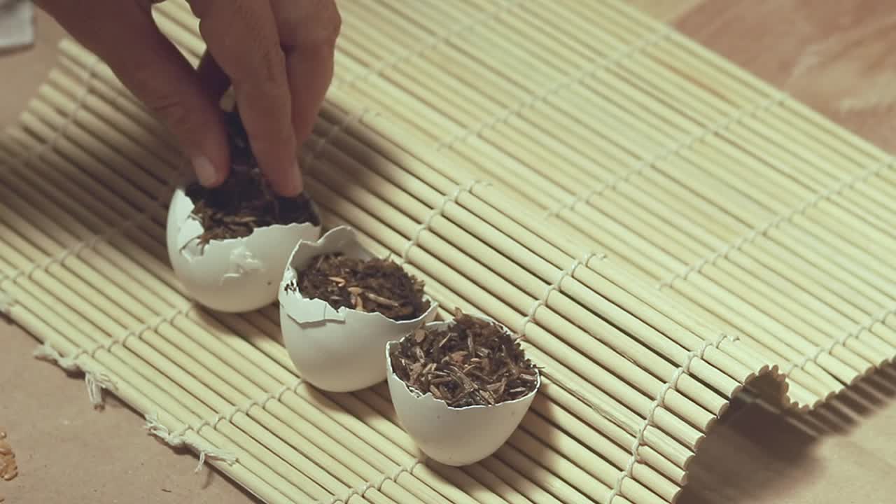 Sowing seeds on an eggshell containing soil mix and use as a seed starter showing a zero waste sustainable lifestyle and organic gardening