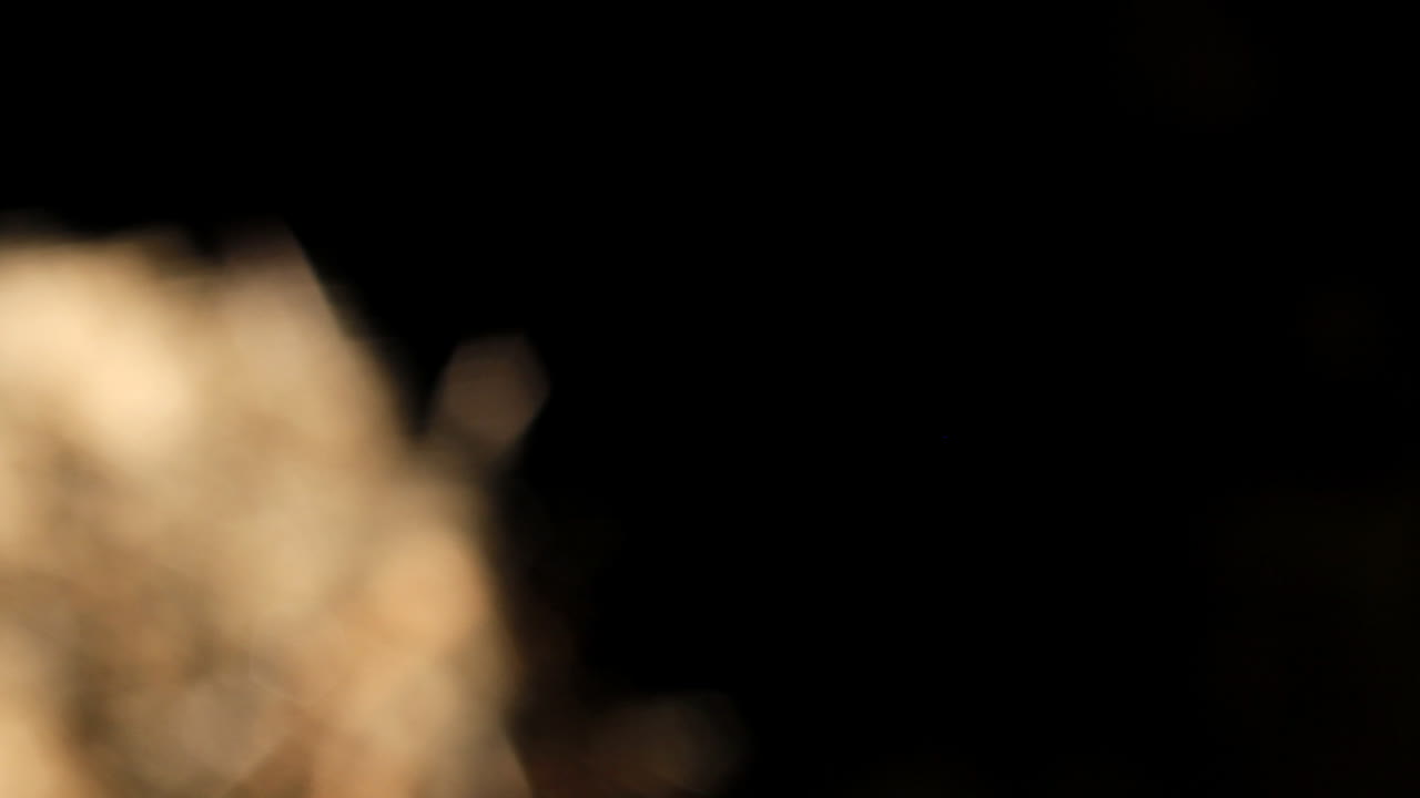 바르셀로나 불꽃놀이 15