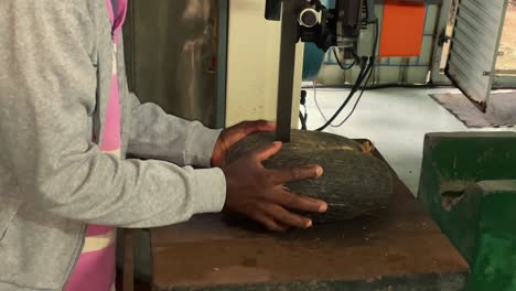 coco de mer collections- man cutting coco de mer for selling the empty nut, and the meat for exportation for medicine
license company in seychelles