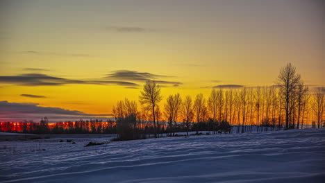 Atemberaubende-Zeitrafferaufnahme-Einer-Tiefstehenden-Wintersonne,-Die-Mit-Einer-Herrlichen-Roten-Farbe-Auf-Einem-Schneebedeckten-Feld-Mit-Bäumen-Aufgeht