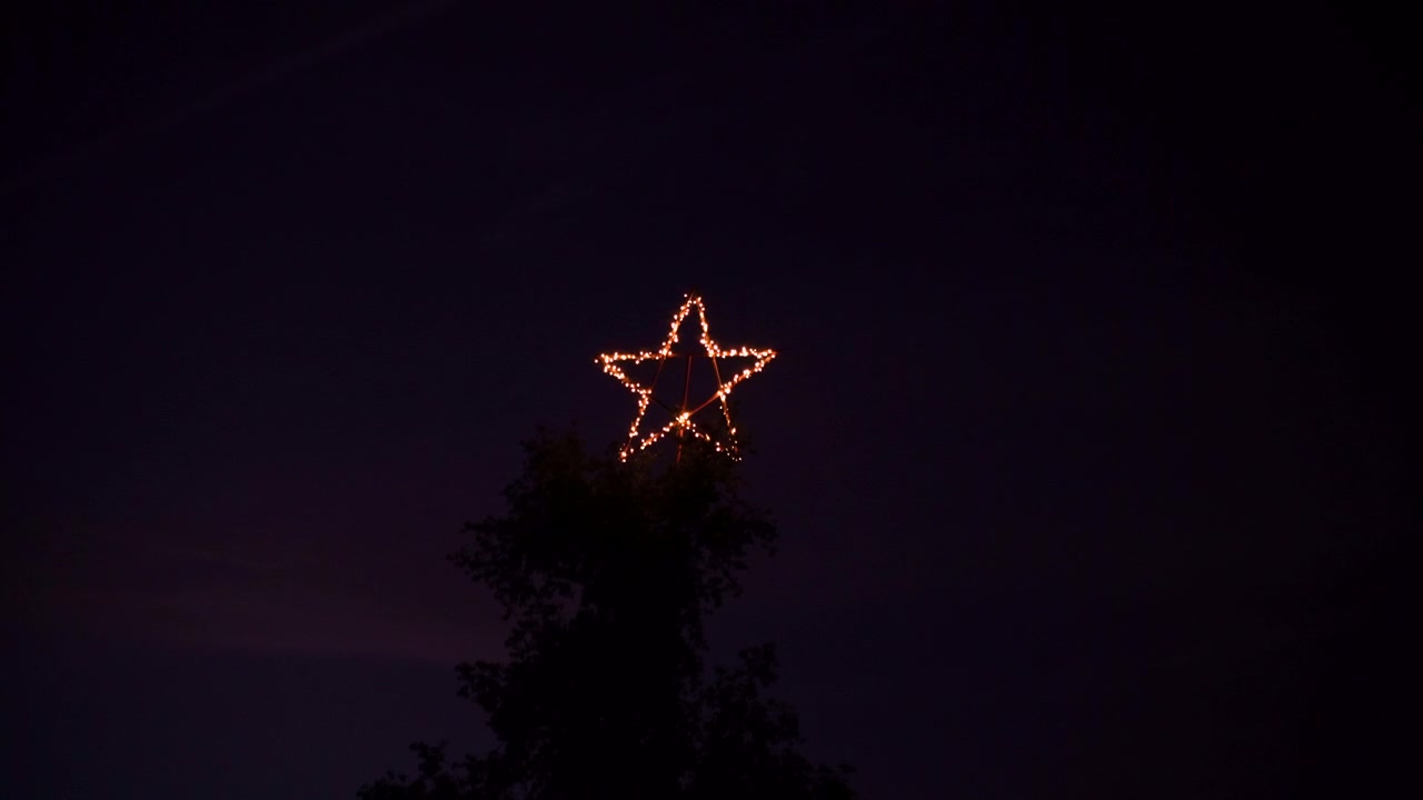 Gran estrella de Navidad en un árbol grande por la noche