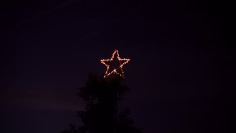 large christmas star on big tree at night