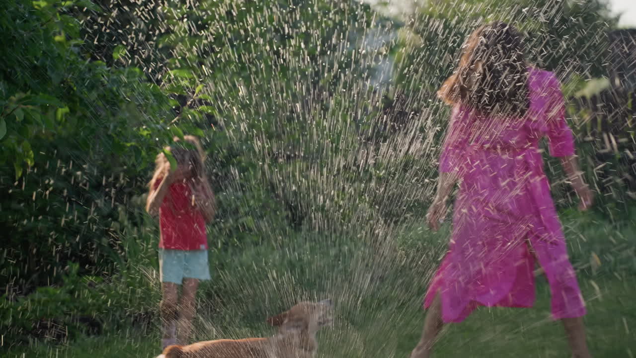 Family Fun Outdoors, Lively Family Enjoying Summer Water Play, Mother And Daughter Laugh As Dog Joins Sprinkler Fun, Energetic Family Engaging In Outdoor Water Activity On Sunny Summer Day