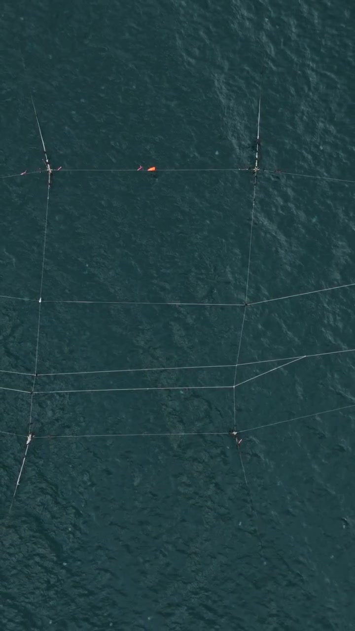 Reti da pesca riprese da un drone sulle acque in Bulgaria