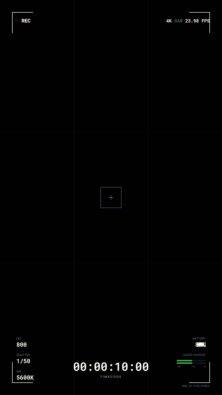 Digital Camera Recording Interface Overlay with Timecode