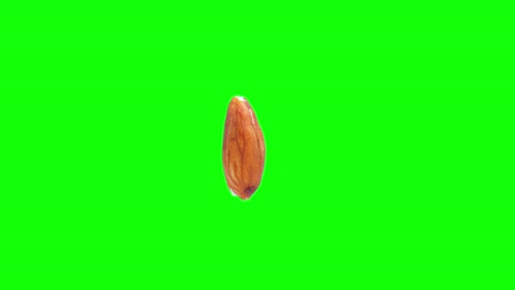 rotating almond isolated on editable green background stereoscopic visualisation