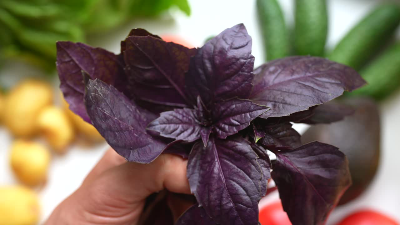 Mano che tiene un mazzetto di basilico viola con altre verdure