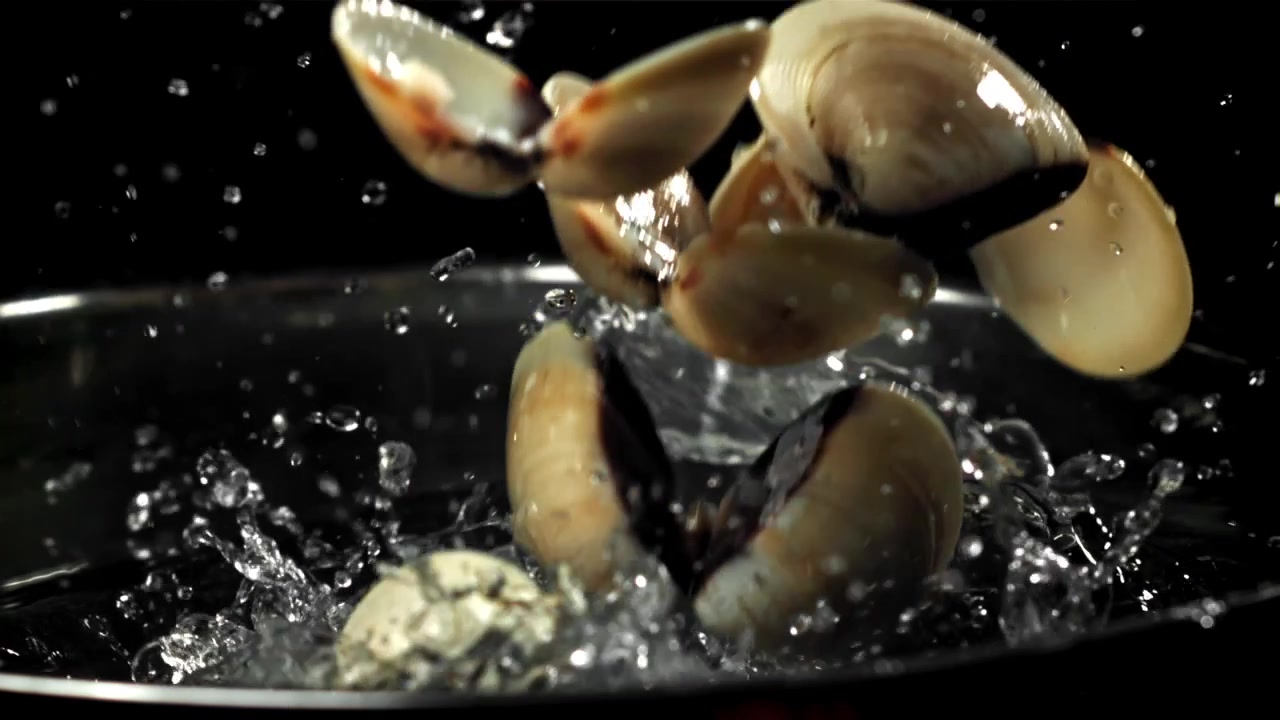 Fresh Clams Falling into Water with Splashes in Slow Motion