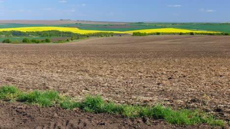 panorama fields in april