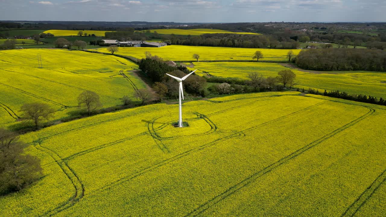영국 워스터셔 의  ⁇  에 있는 밝은 노란색 라프시드 작물 의 공중 사진