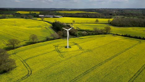 aerial view of bright yellow rapeseed crops in fields in worcestershire, england