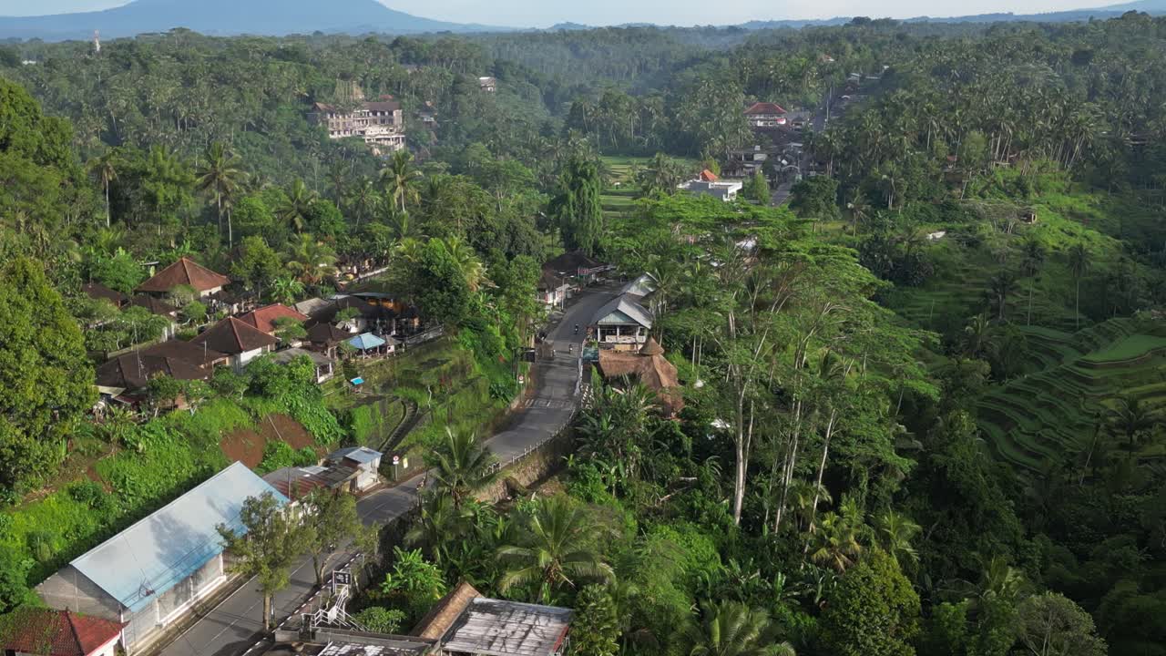 motocicletas viajando por la jungla cerca de ubud en bali, indonesia