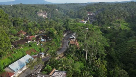 motorbikes riding through the jungle near ubud in bali, indonesia