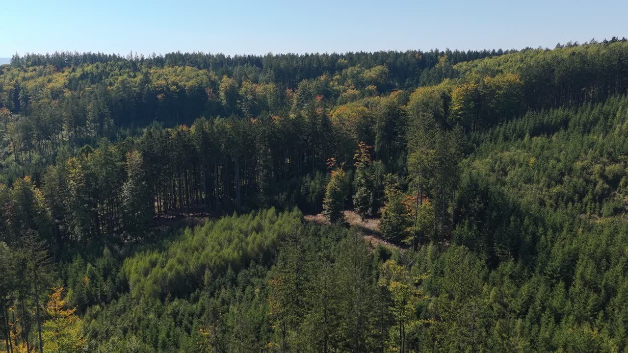 Dense forests in the Czech hills from a bird's eye view. Beginning of autumn