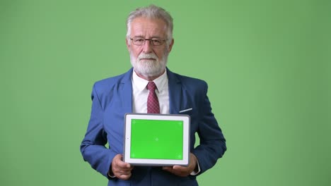 handsome senior bearded businessman against green background