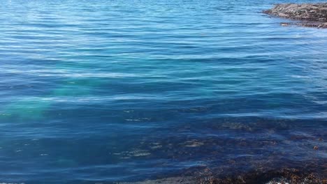 push-up drone tilt shot of water surface