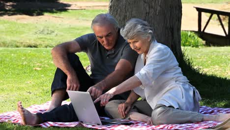 elderly couple looking at a laptop sitting on a tablecloth