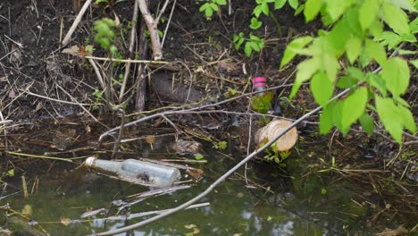 unrecycled glass bottle swim in forest river water, handheld view